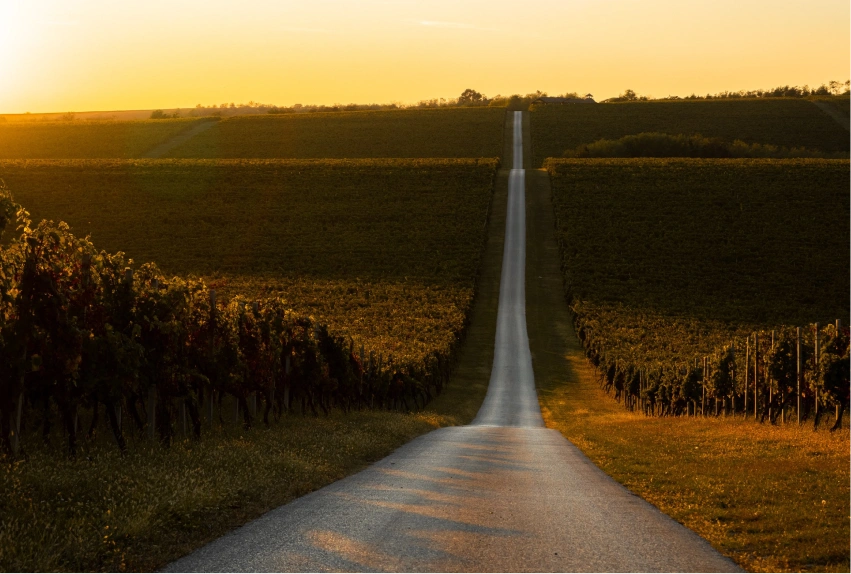 USE Catanduva – União Espírita Intermunicipal de Catanduva